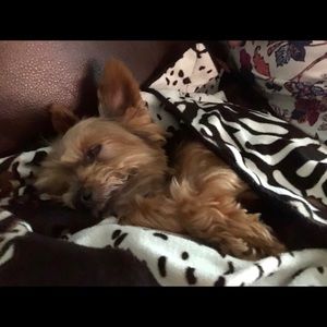 Meet your Posher, Mildred